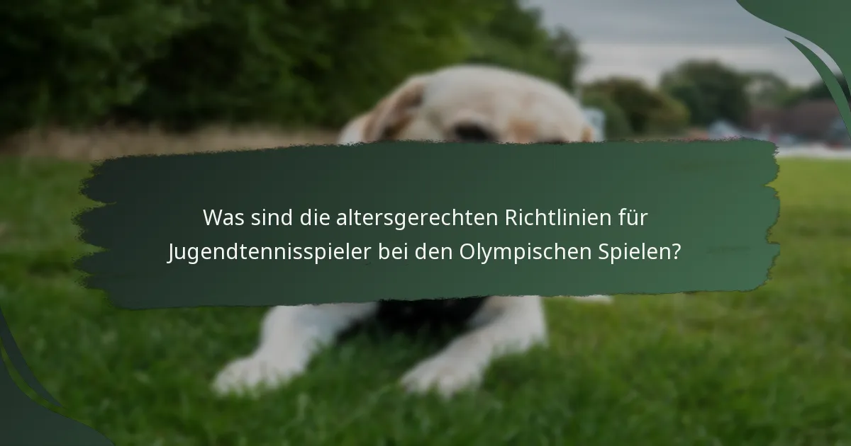 Was sind die altersgerechten Richtlinien für Jugendtennisspieler bei den Olympischen Spielen?