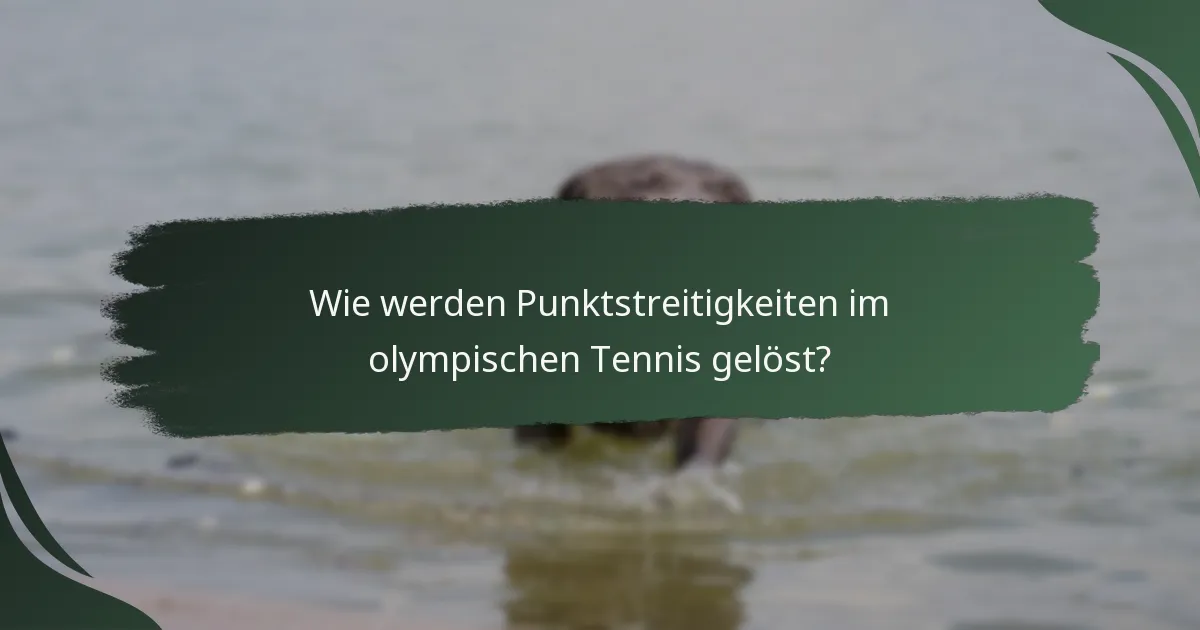 Wie werden Punktstreitigkeiten im olympischen Tennis gelöst?